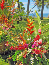 Tropical flowers and greenery in outdoor Maui setting