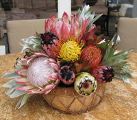 Maui protea bouquet tropical flower arrangement