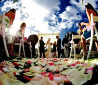 Wedding aisle pedals.