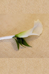 White calla lily boutonniere. Photo courtesy of Anna Kim.