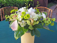 Green and white orchid centerpiece