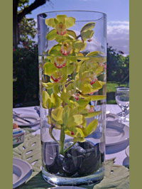 Orchids in water-fileld vase. Maui convention centerpiece.