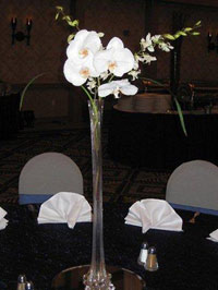 Orchids in a tall vase at a Maui banquet
