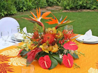 Maui event flowers. Fresh tropical flowers from from Maui.