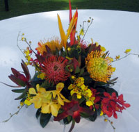 Maui protea flowers centerpiece for a convention