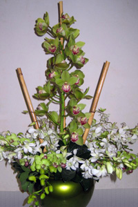 Tropical orchid spray