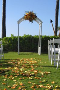 Wedding Arches & Aisles